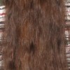 Kurze haare lange haare